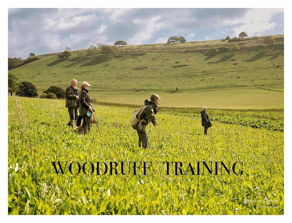 Walked Up Root Crop Days Gundogs